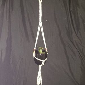 Handmade Macrame Plant Hanger